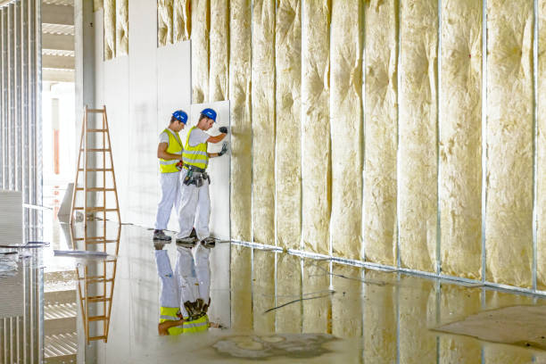 Best Eco-Friendly Insulation in Wimberley, TX